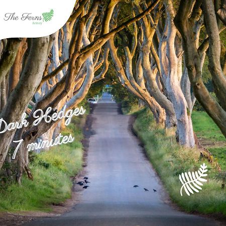 The Ferns-Ideal Base For Exploring The Causeway Coast Armoy Экстерьер фото